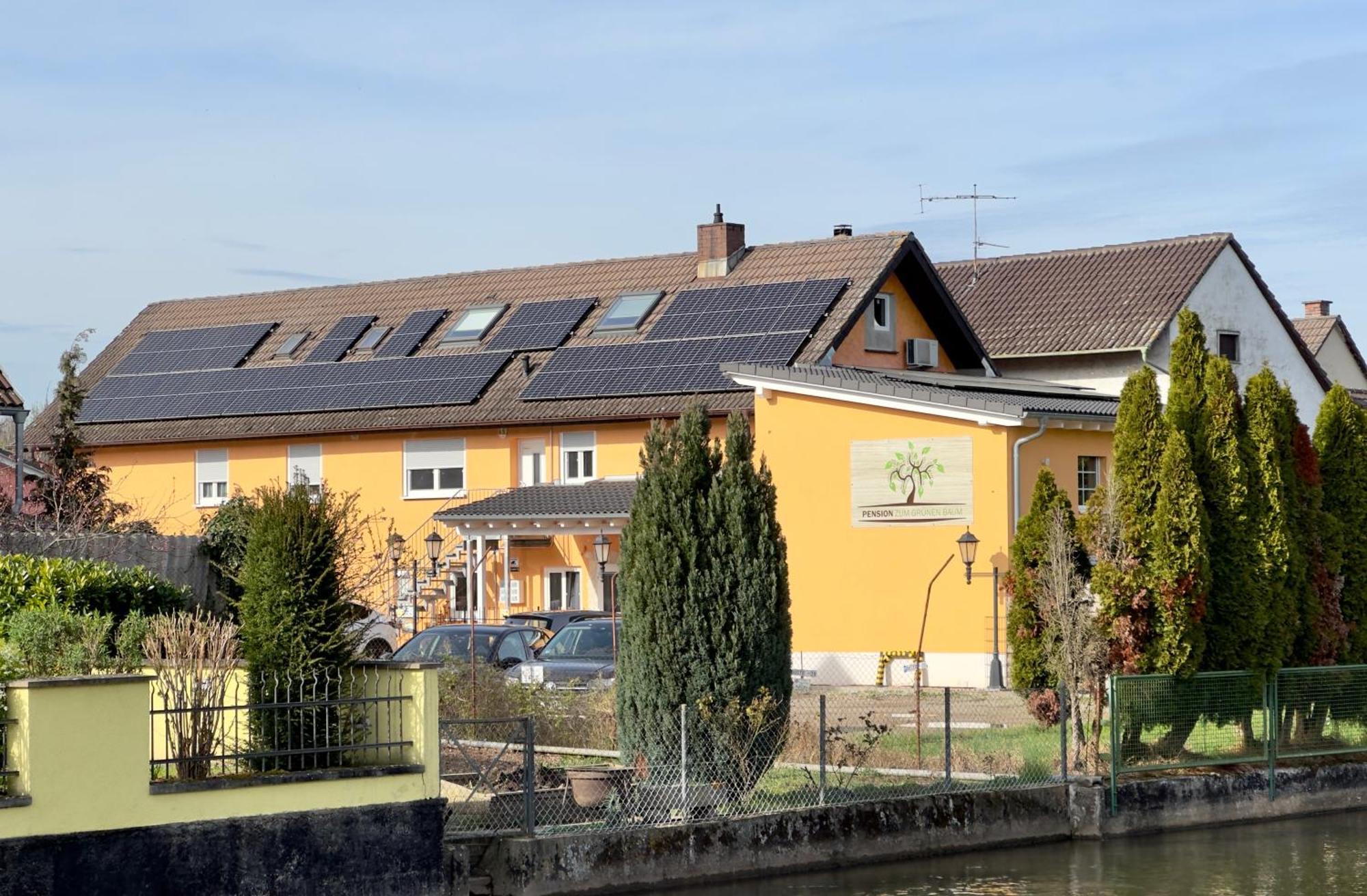 Europa Pension Zum Gruenen Baum Rust Εξωτερικό φωτογραφία